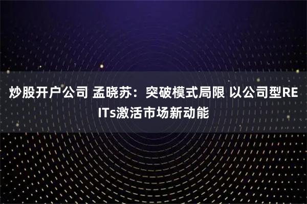 炒股开户公司 孟晓苏：突破模式局限 以公司型REITs激活市场新动能