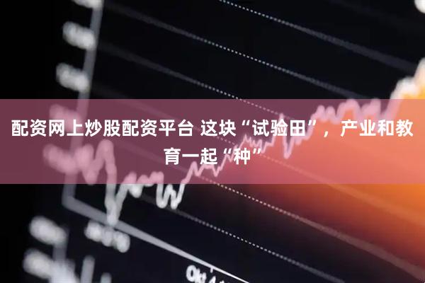 配资网上炒股配资平台 这块“试验田”，产业和教育一起“种”